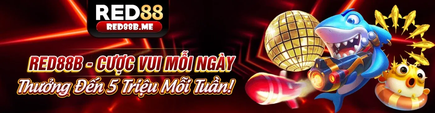 Tải ứng dụng Nhatvip Code chính thức